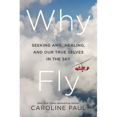 Why Fly: Seeking Awe, Healing, and Our True Selves in the Sky