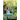 The Witness