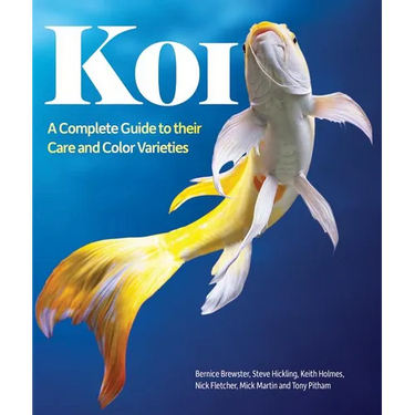 Koi: A Complete Guide to Their Care and Color Varieties