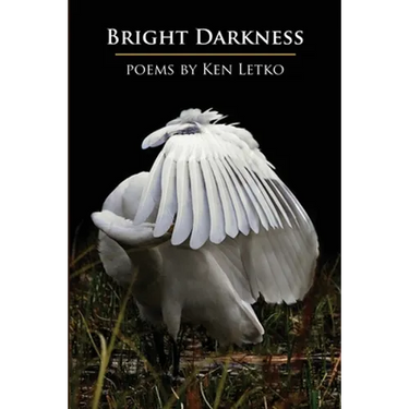 Bright Darkness