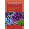 Different Perspectives, Different Cultures, Different Places: The Experiences of International and Domestic Students Studying in an Australian Univers