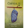 Chrysalis: From Corporate Executive to Intuitive Artist-A Spiritual Adventure