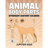 Animal Body Parts: Veterinary Anatomy Coloring