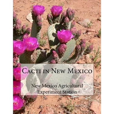 Cacti in New Mexico