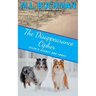 The Disappearance Cipher: a coming of age romantic suspense