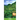 Azores