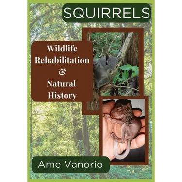 Squirrels: Wildlife Rehabilitation and Natural History