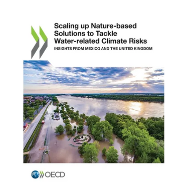Scaling up Nature-based Solutions to Tackle Water-related Climate Risks