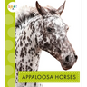 Appaloosa Horses