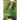 Suicide Bridge