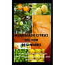 Homemade Citrus Oil for Beginners: Step by Step Approach on How to Make Lemon, Lime, and Orange Oil.