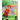 The Boy with the Rainbow Heart and the Invasion of Big Angry Red
