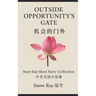 Outside Opportunity's Gate -Snow Ray Short Story Collection: 机会的门外-瑞雪中英双语