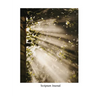 Scripture Study Journal: For expanding understanding of Jesus Christ and His Gospel