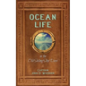 Ocean Life in the Old Sailing Ship Days