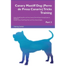 Canary Mastiff Dog (Perro de Presa Canario) Tricks Training Canary Mastiff Dog Tricks & Games Training Tracker & Workbook. Includes: Canary Mastiff Do