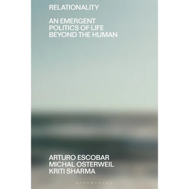 Relationality: An Emergent Politics of Life Beyond the Human
