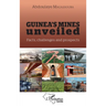 Guinea's mines unveiled: Facts, challenges and prospects