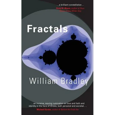 Fractals