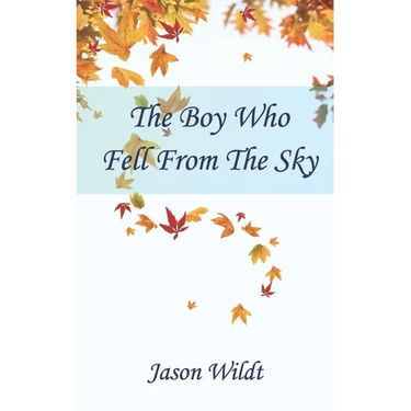 The Boy Who Fell From the Sky