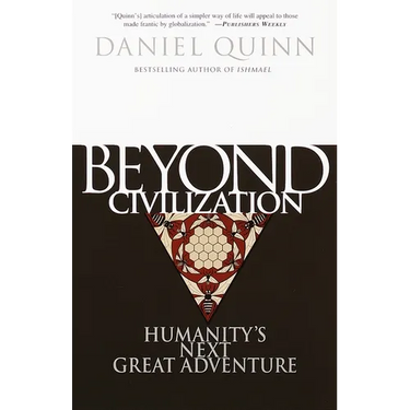 Beyond Civilization: Humanity's Next Great Adventure