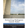 Estimating Radiogenic Cancer Risks