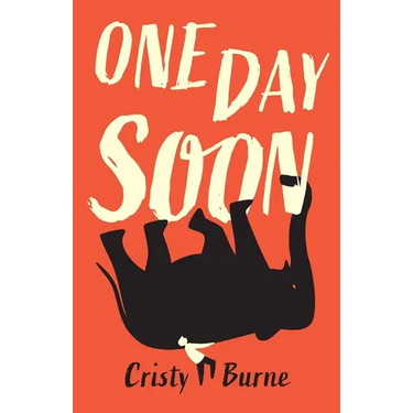 One Day Soon: A moving verse novel about Motor Neurone Disease