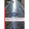 Historical Origins of International Criminal Law: Volume 2