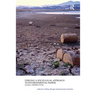 Forging a Socio-Legal Approach to Environmental Harms Global Perspectives
