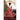 A Christmas Match: A Regency Romance
