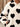 7a6d8e46-8eed-470e-998a-4a506e1b400e-Max