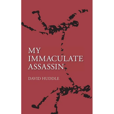 My Immaculate Assassin