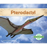 Pterodactyl