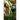August (Were Zoo Book Eighteen)