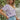 7c34bd24-742d-42d8-bfe9-b08ff1a08d70-Max