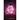 The Rose Stone