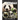 Pandas: Photos and Fun Facts for Kids