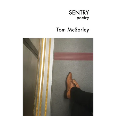 Sentry: poetry