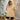 7d5e13e3-75ff-481b-b1da-f0b95d109a86-Max