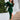 7d697a7e-4548-4a15-b923-730f6847abf7-Max