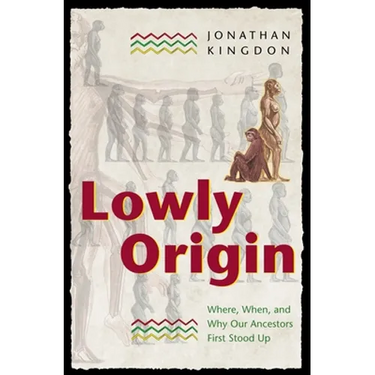 Lowly Origin: Where, When, and Why Our Ancestors First Stood Up