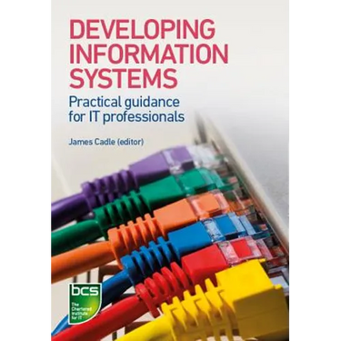 Developing Information Systems: Practical guidance for IT professionals