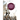 Banners of Wrath