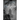 Screaming Into The Darkness