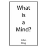 What is a Mind?