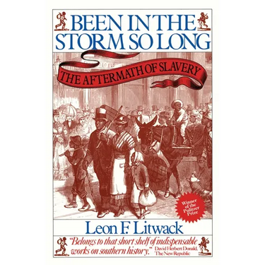 Been in the Storm So Long (Pulitzer Prize Winner): The Aftermath of Slavery