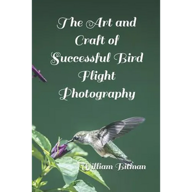 The Art and Craft of Successful Bird Flight Photography