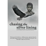Chasing the Silver Lining