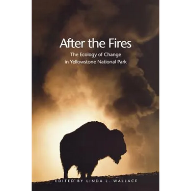 After the Fires: The Ecology of Change in Yellowstone National Park