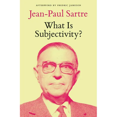 What Is Subjectivity?